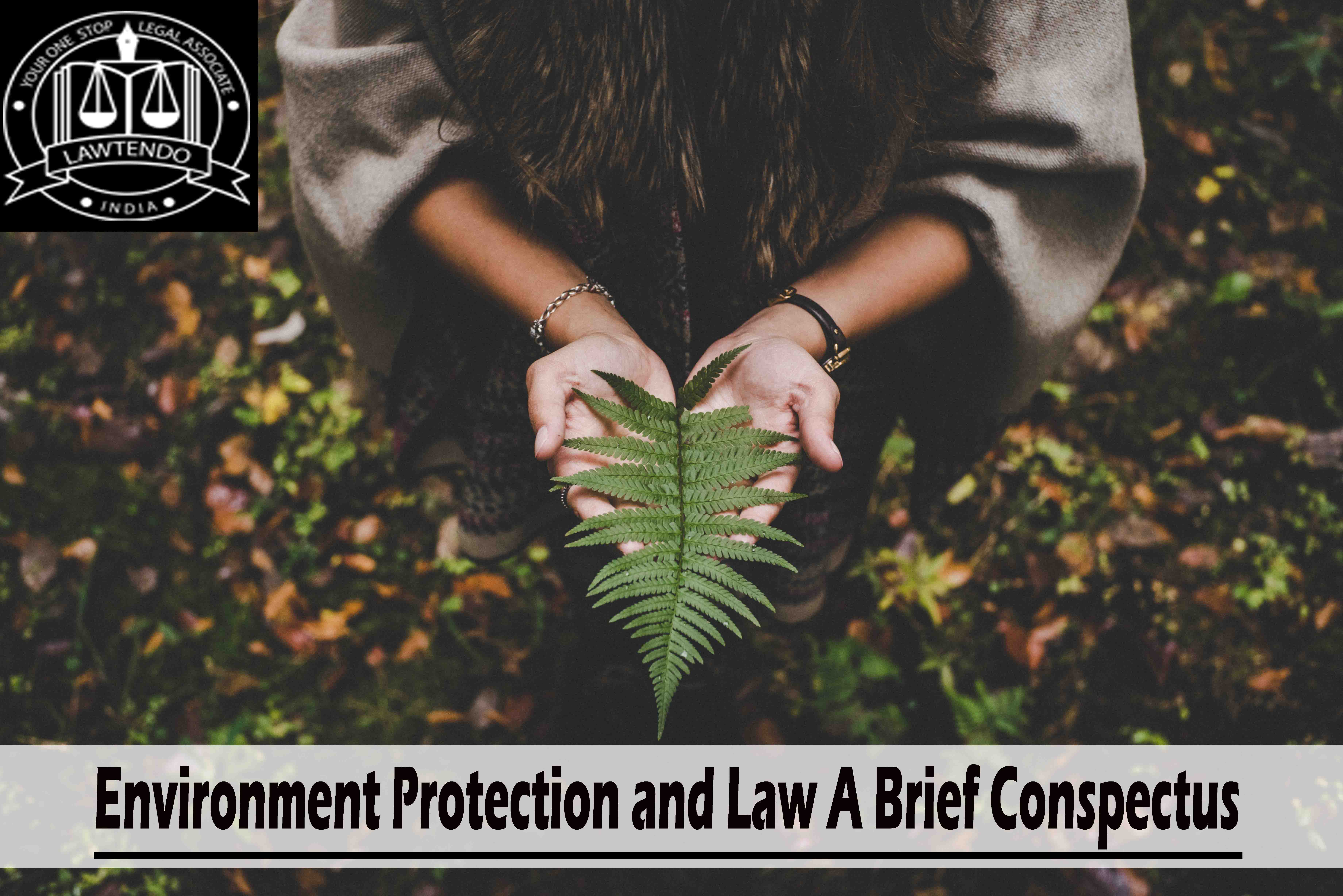 Environment Protection and Law A Brief Conspectus